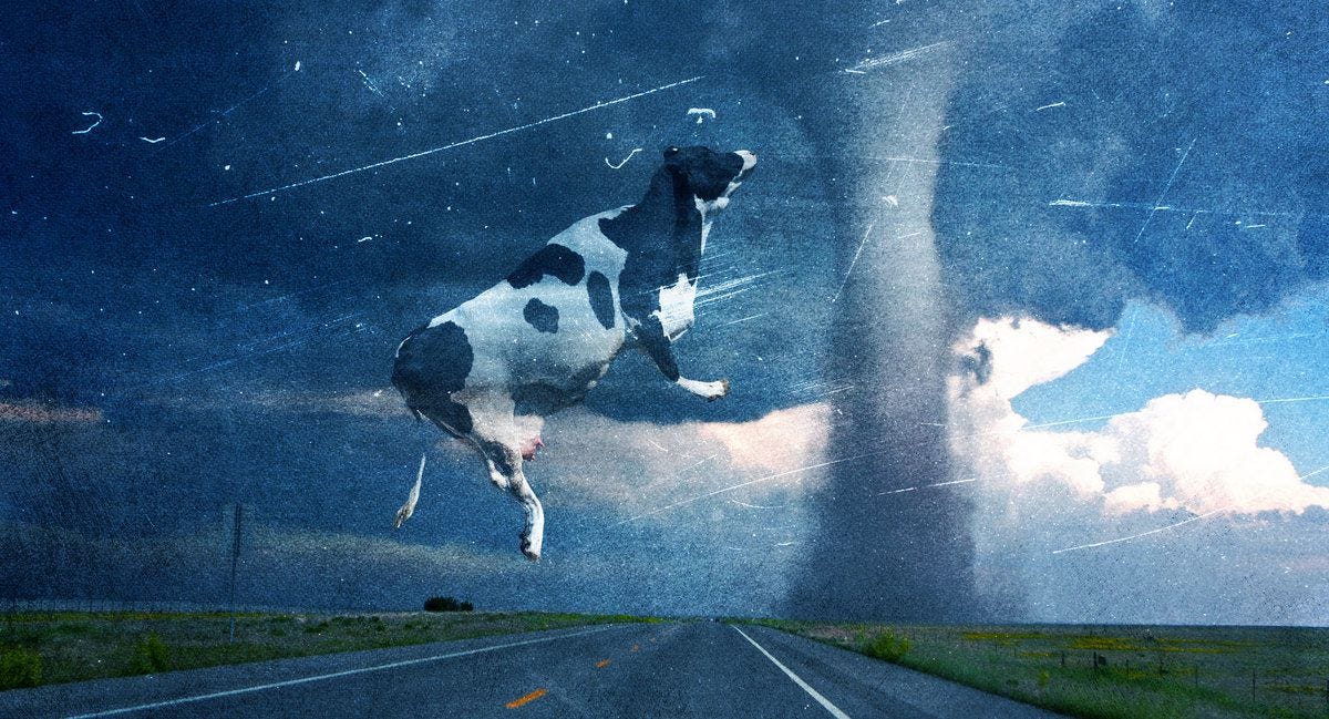 How They Made a Cow Fly Through a Tornado in 'Twister' - The Ringer