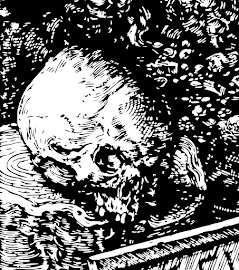 cool skull art ffrom the book