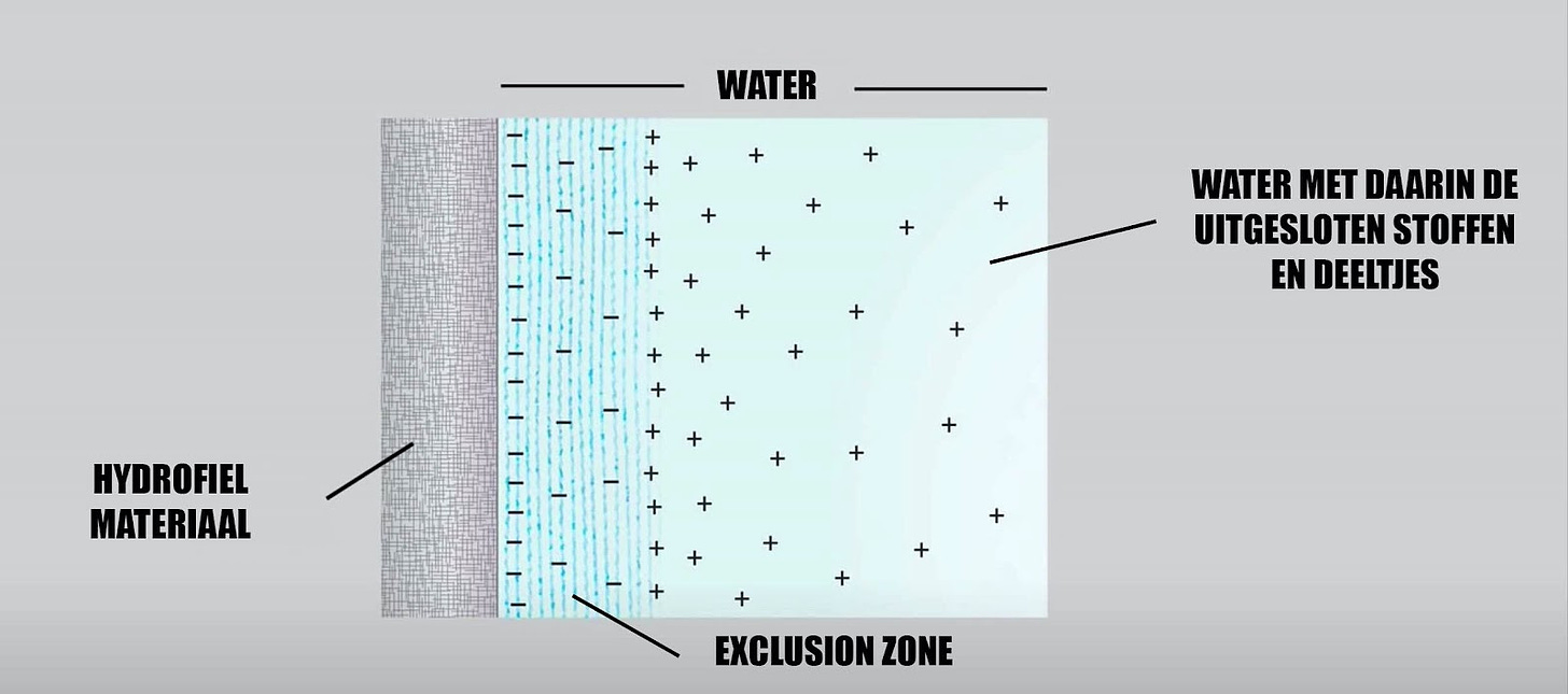 Exclusion zone water - Paleo Lifestyle