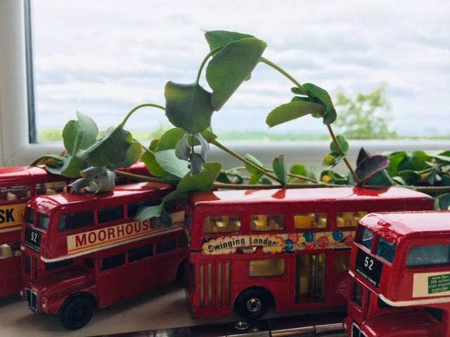 toy busses next to a window