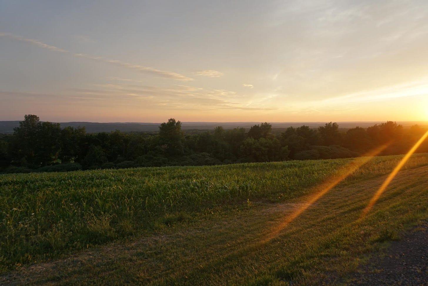 The hills of Manlius The hills of Manlius