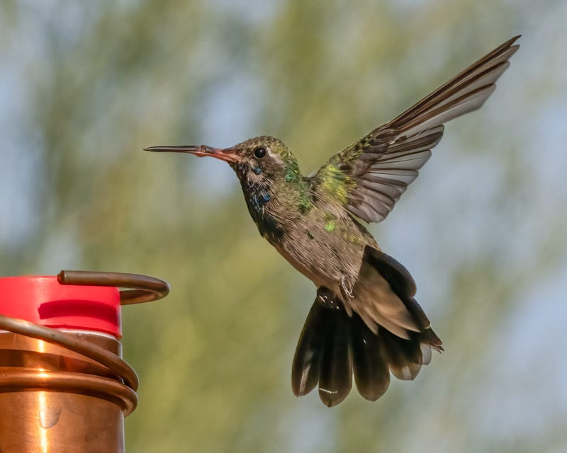 20240915-mby-8-Edit.jpg