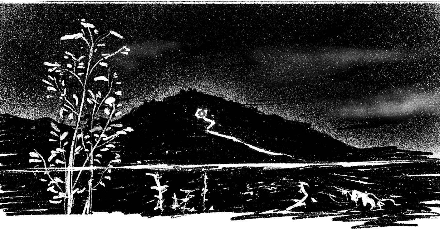 Eerie seaside at night, black and white drawing