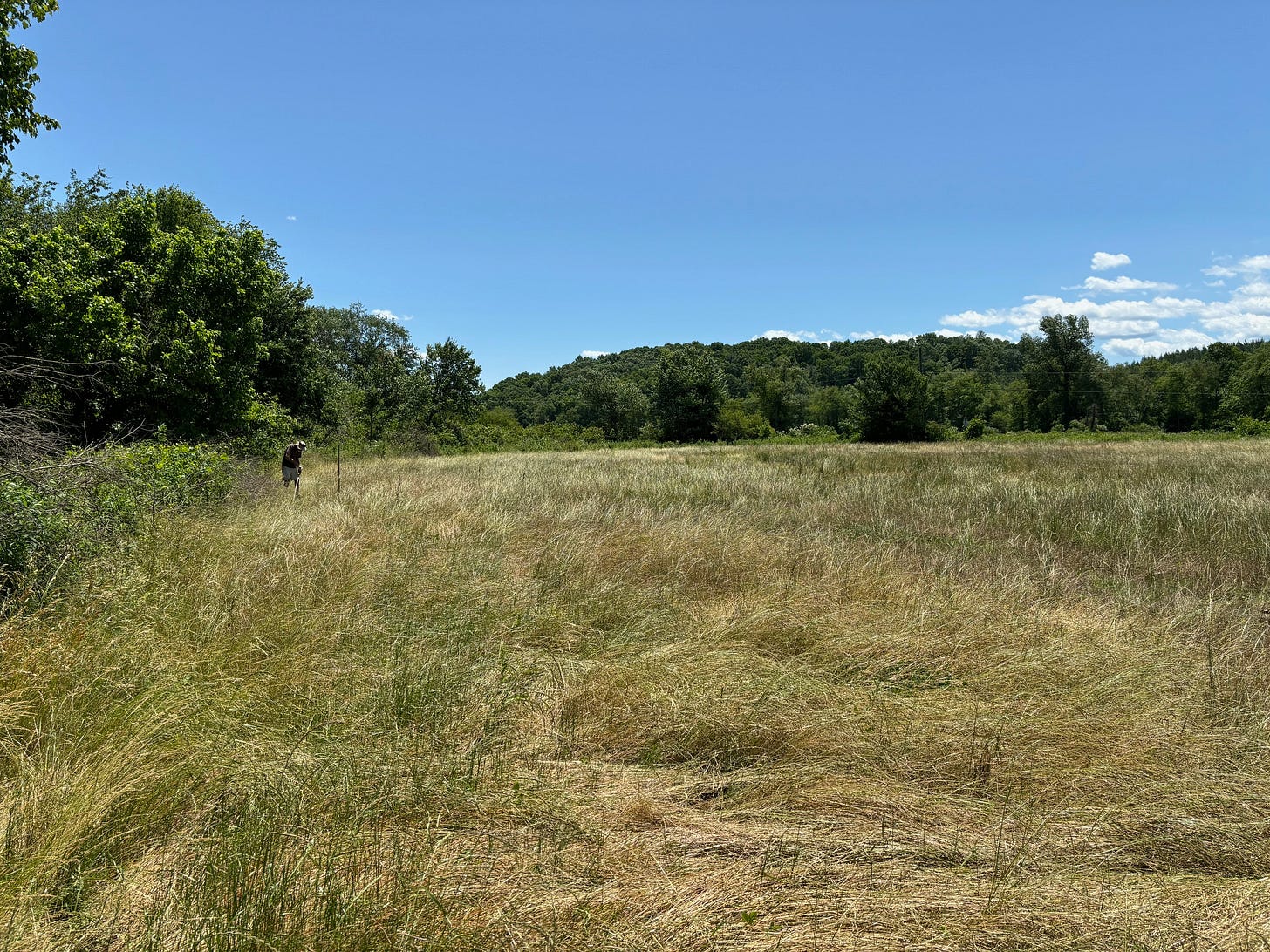 The area in Oak Hill Community Park and Forest where Matt Hallyburton and Kim Ellington dug up Catawba Valley clay.