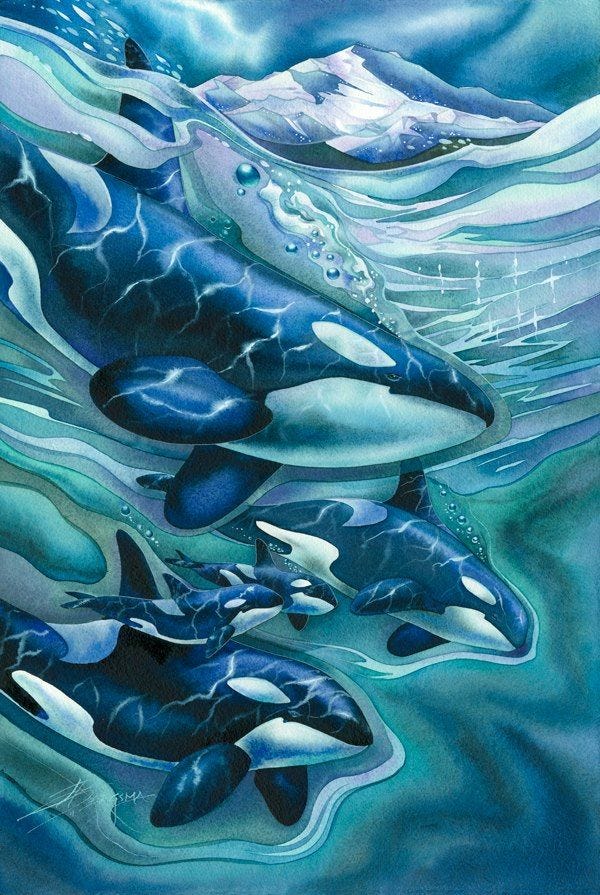 Whales | Orca art, Whale art, Orca