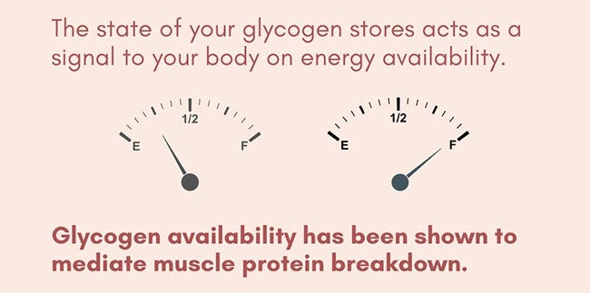 glycogen availability