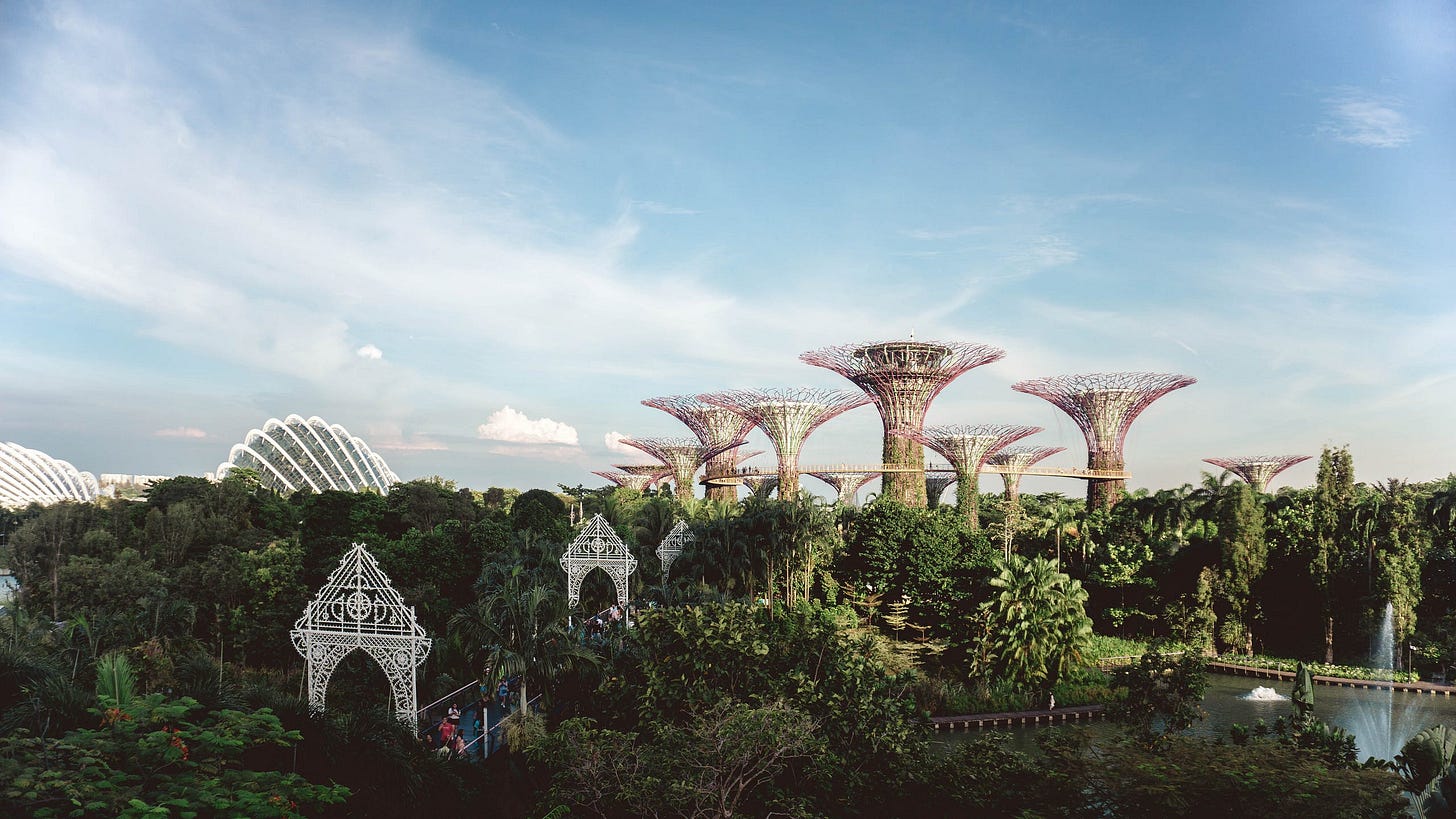 A colour photo of Gardens by the Bay in Singapore. Tall pink garden structures with green gardens below. A colour photo of Gardens by the Bay in Singapore. Tall pink garden structures with green gardens below.