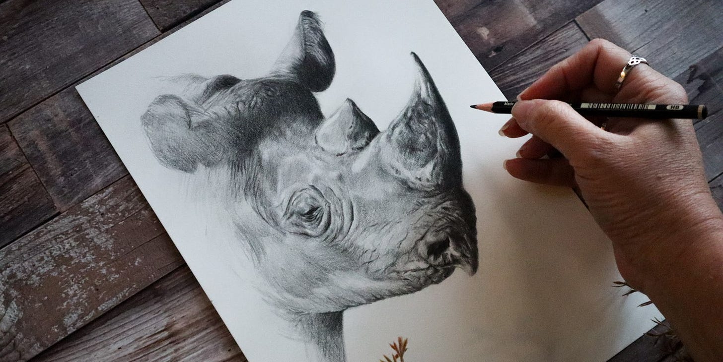 wildlife sketch drawing realism graphite