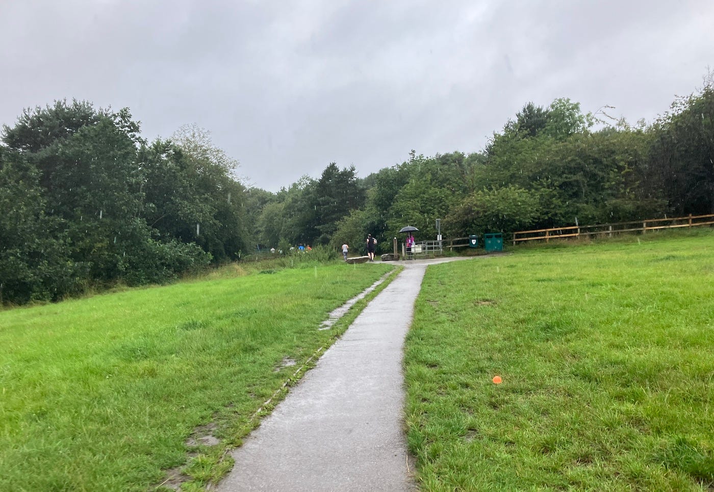 Narrow path through grassy field.