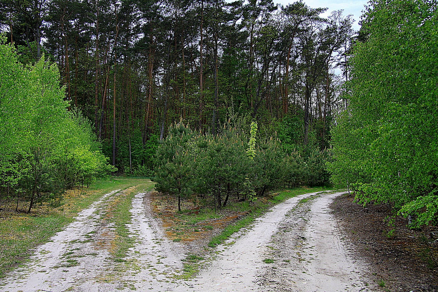 roads