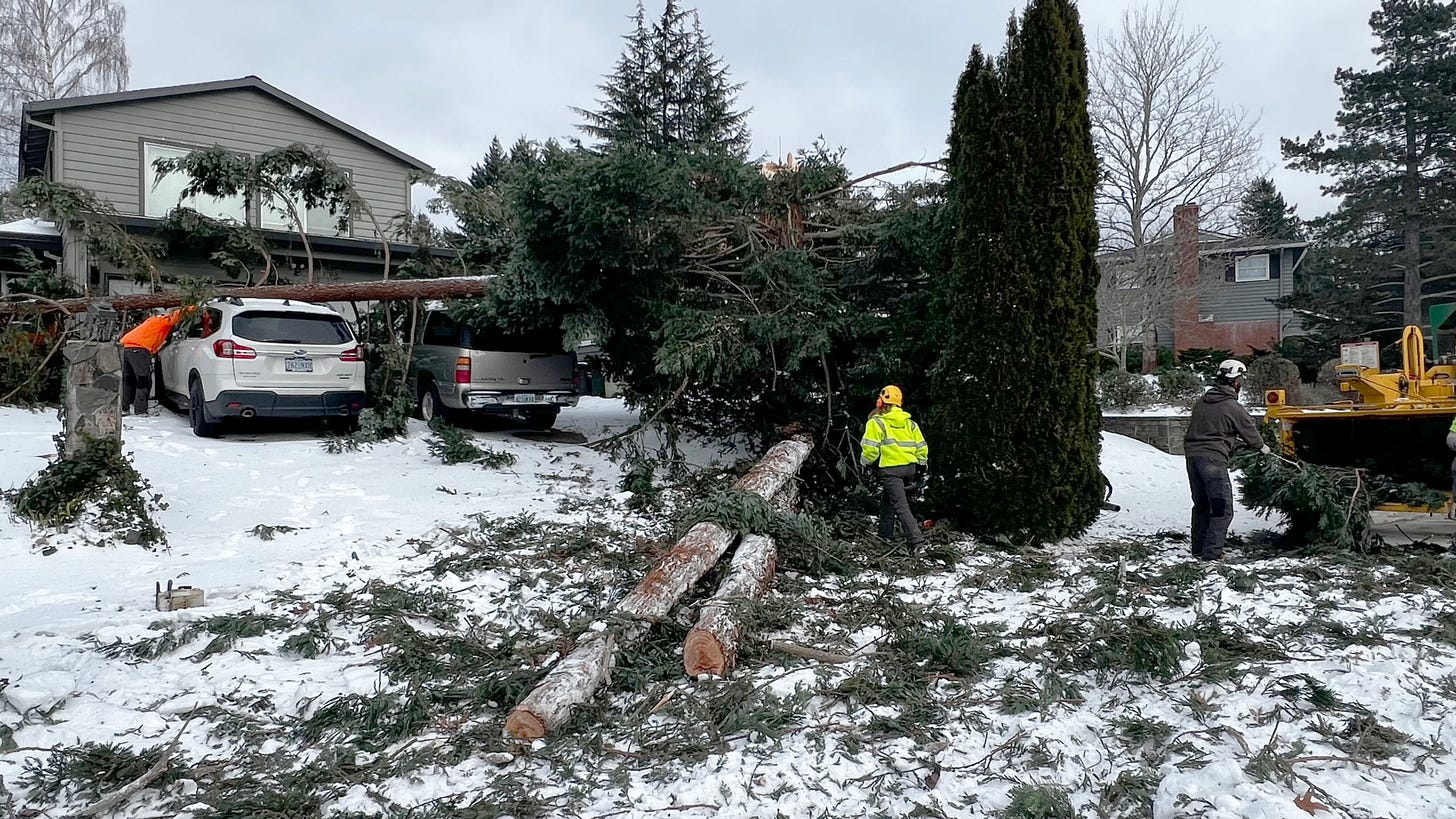 Crews with Davey Tree work to clear fallen trees near the intersection of Northwest Lee Street and Northwest Flotoma Drive in Portland on Sunday, Jan. 14, 2024.