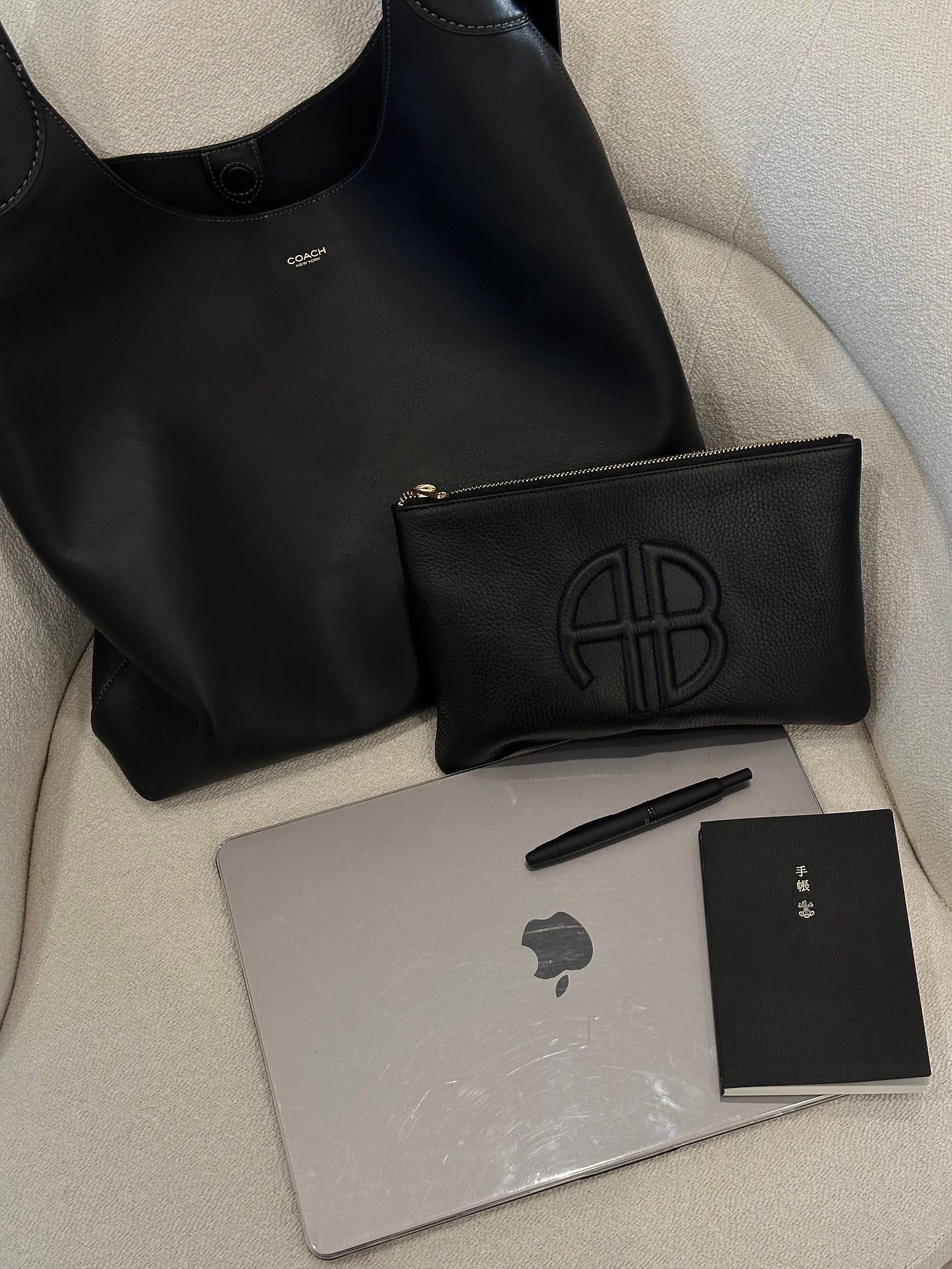 catchall pouch anine bing