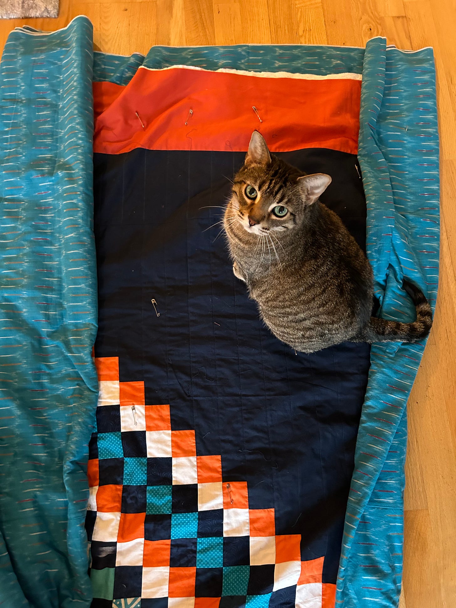 A mischevious tabby cat sitting atop a navy, orange, and teal quilt