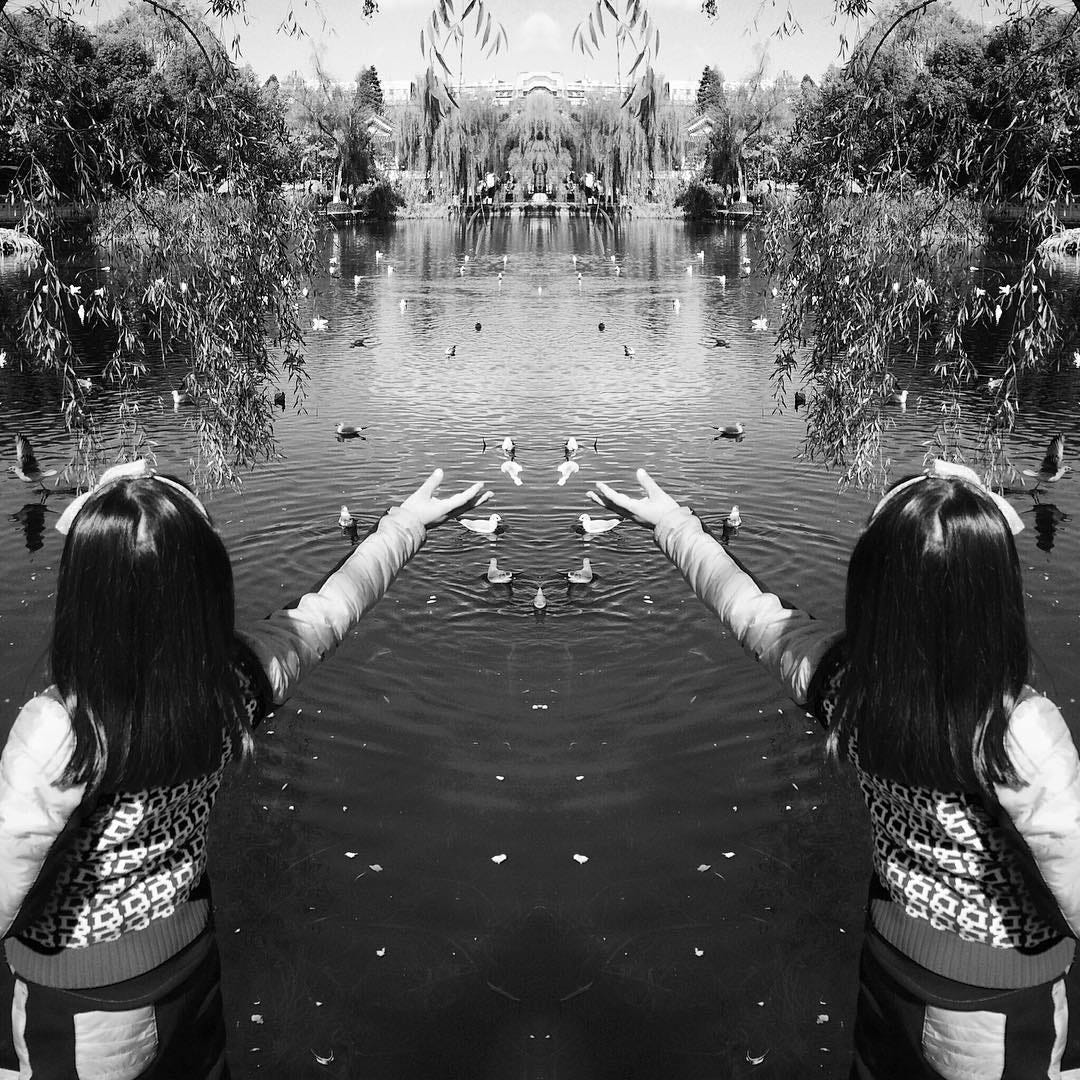 Green Lake Park in Kunming — with vertical symmetry.