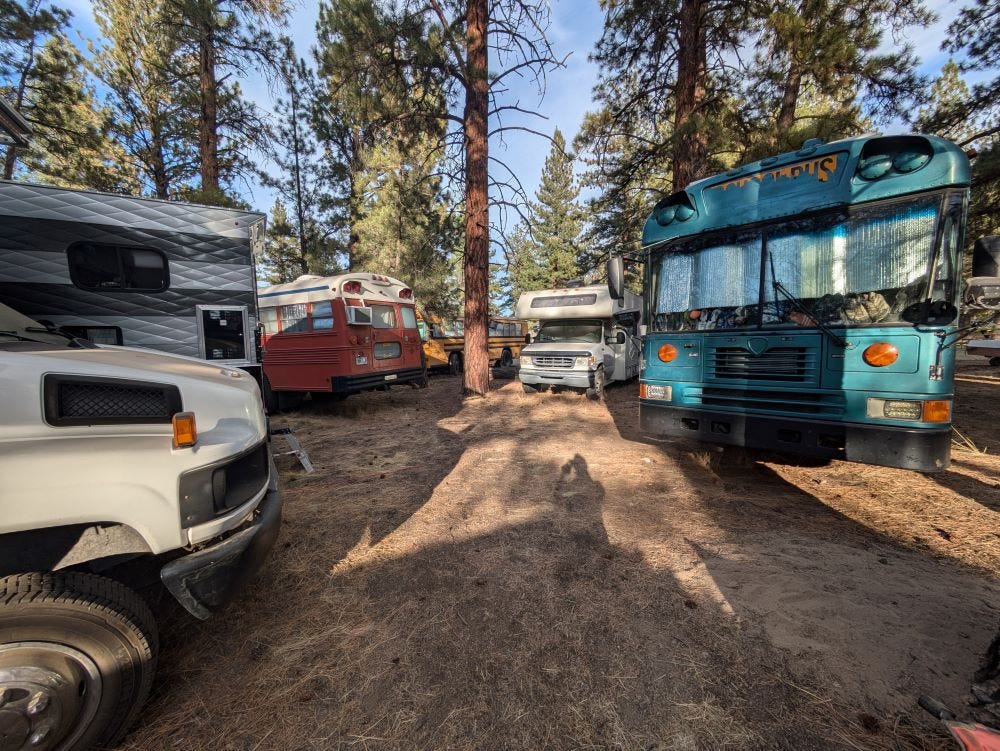 several brightly colored converted school buses, vans, and other campers in a campground