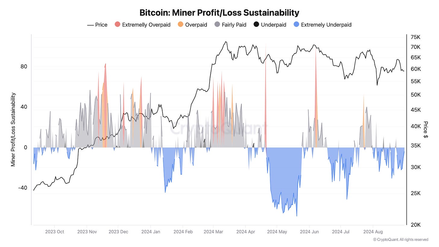 bitcoin miner profit and loss