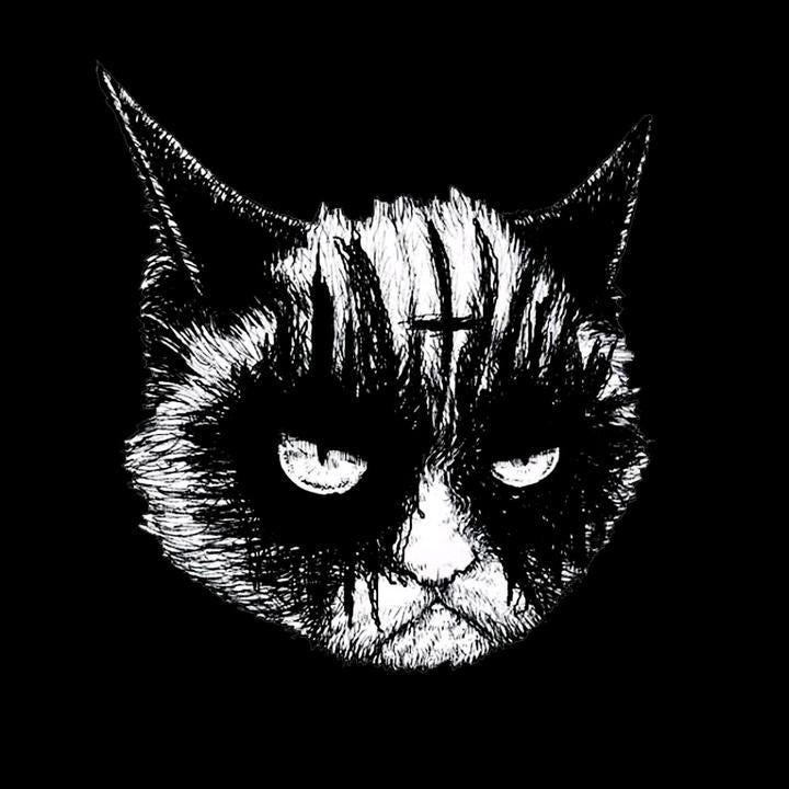 🦄 @blackmetalcats - Black Metal Cats - TikTok