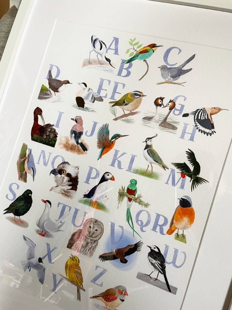 Illustrated alphabet of birds