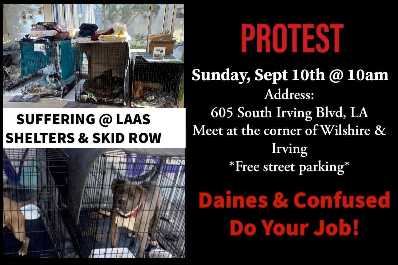 May be an image of dog and text that says 'SUFFERING @ LAAS SHELTERS & SKID ROW PROTEST Sunday, Sept 10th @ 10am Address: 605 South Irving Blvd, LA Meet at the corner of Wilshire Irving *Free street parking* Daines & Confused Do Your Job!'