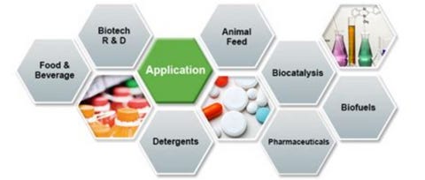 Introducing Synthetic Biology Horror in a New Light (Pt 1) Https%3A%2F%2Fsubstack-post-media.s3.amazonaws.com%2Fpublic%2Fimages%2Fcd275458-925c-4706-a15c-5254f1a86f83_480x204