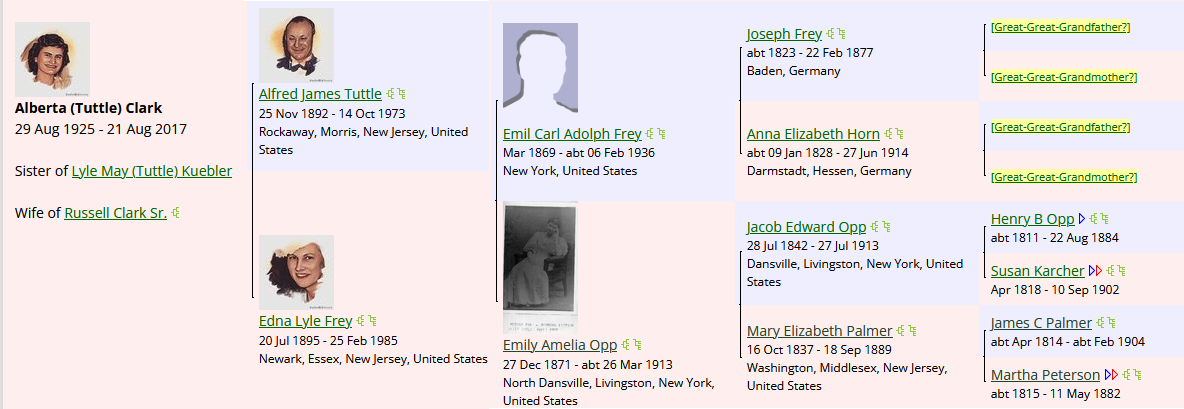 an edited screenshot of the WikiTree profile for Alberta (Tuttle) Clark