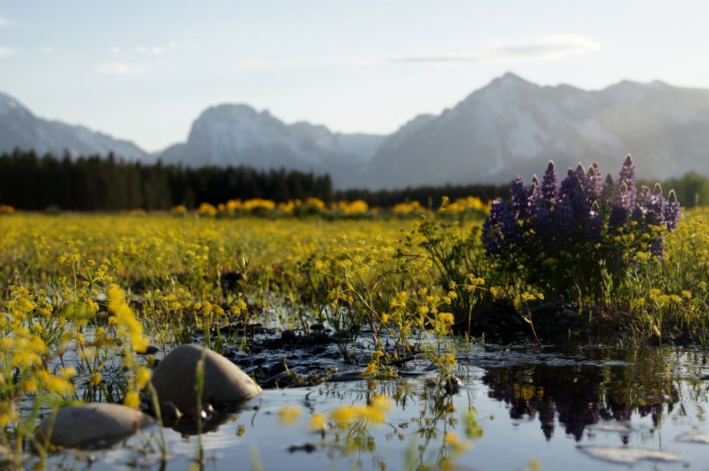 Totally unrelated to bike touring... Just a pretty shot from Grand Teton!