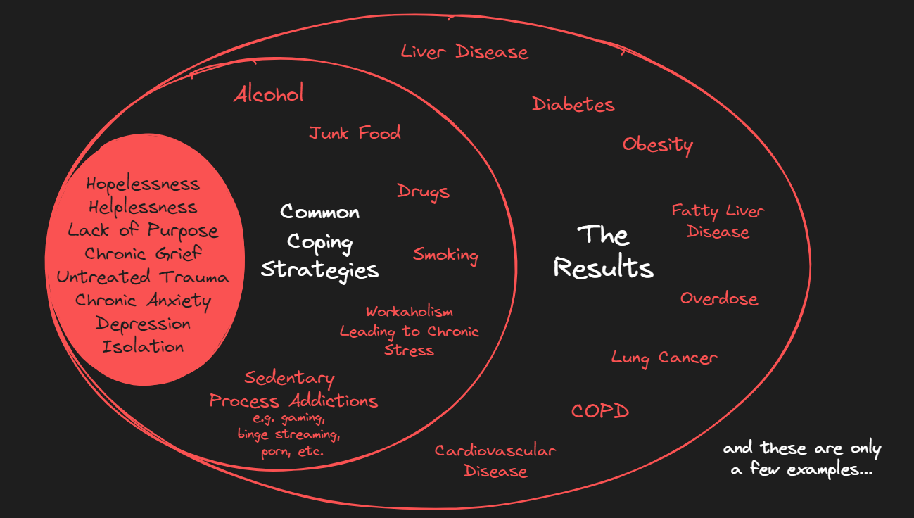 3 concentric circles - the first one lists words like hopelessness, lack of purpose, depression, isolation; the next circle lists common coping strategies like alcohol, junk food, drugs, smoking, workaholism, etc.; the last circle lists "The Results" and includes liver disease, diabetes, obesity, CPOD, etc. 