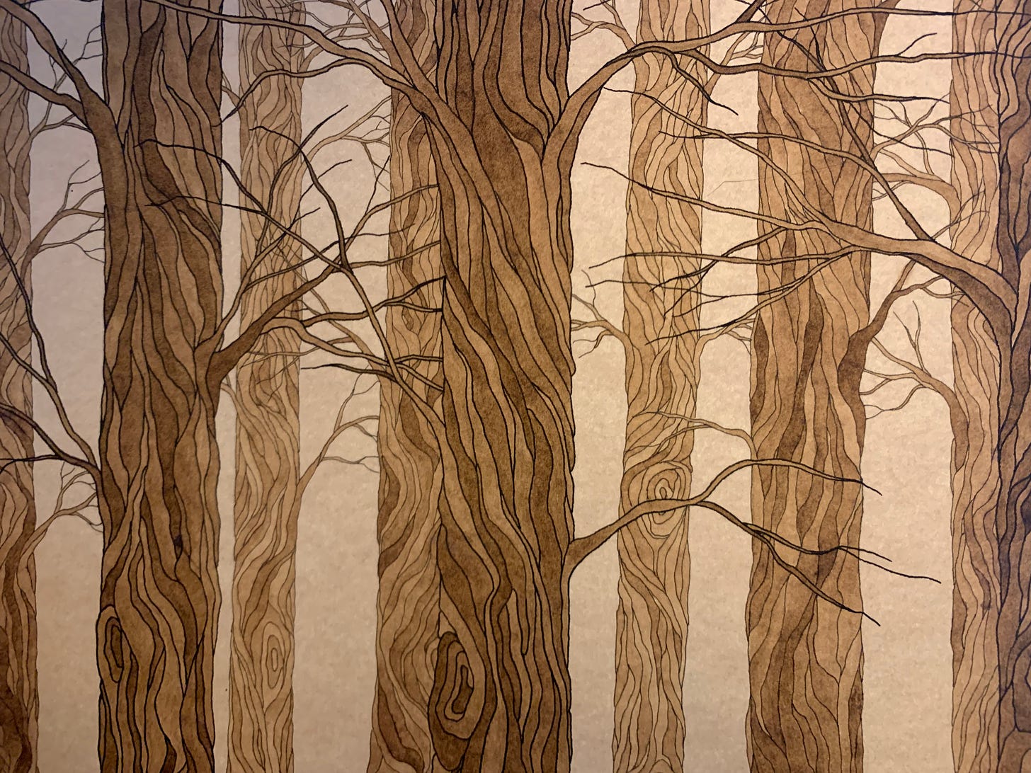 An ink drawing of trees with bare branches, with the bark outlined in black. The photo is of a drawing on paper, with the light source on the right, creating a cooler shadow on the left.