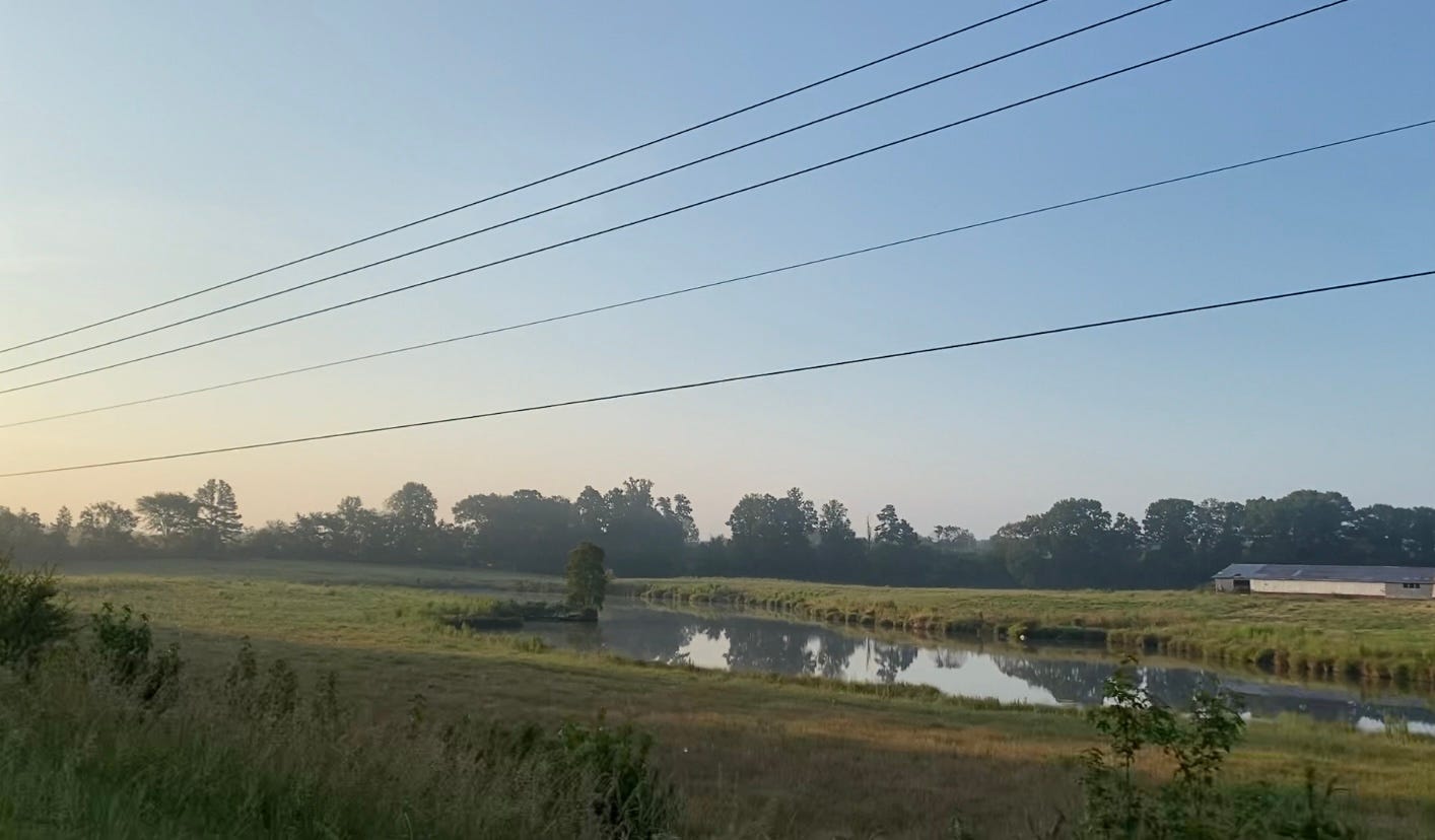 farm pond with a barn in the background