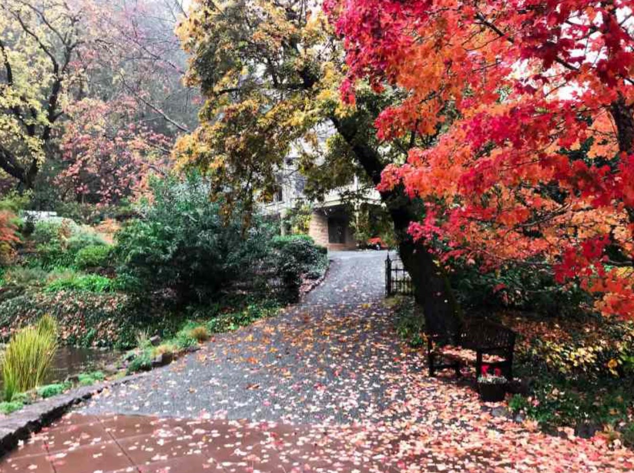 autumn at Schramsberg