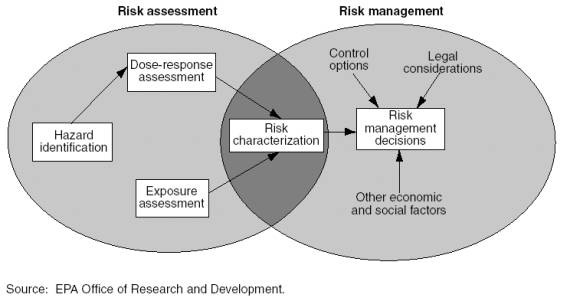 graphic showing the differences between risk assessment and risk management
