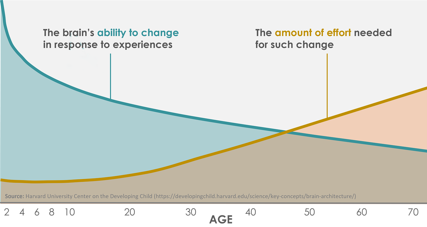 Self-Directed-Plasticity-Age--02.png