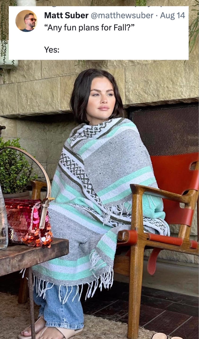 Screenshot of Selena Gomez wrapped in a beach blanket with a comment over top that reads Any fun plans for Fall? Yes