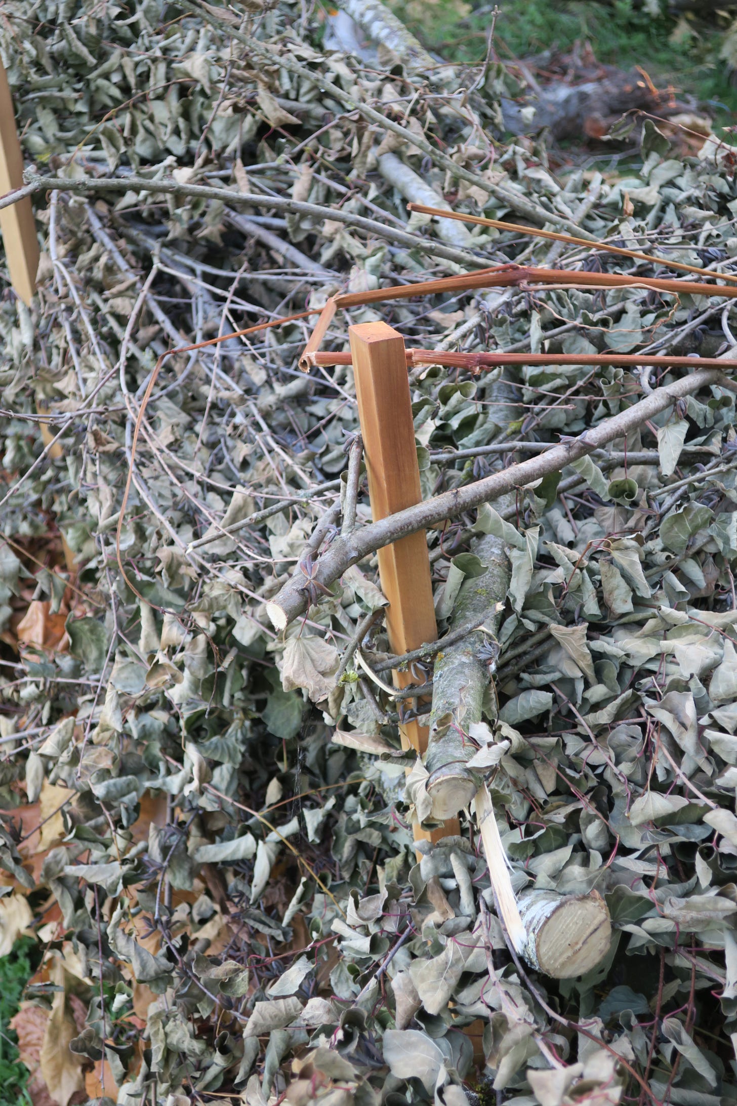 dead hedge construction