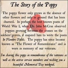 This contains an image of: Poppy Veterans Day Quotes. QuotesGram