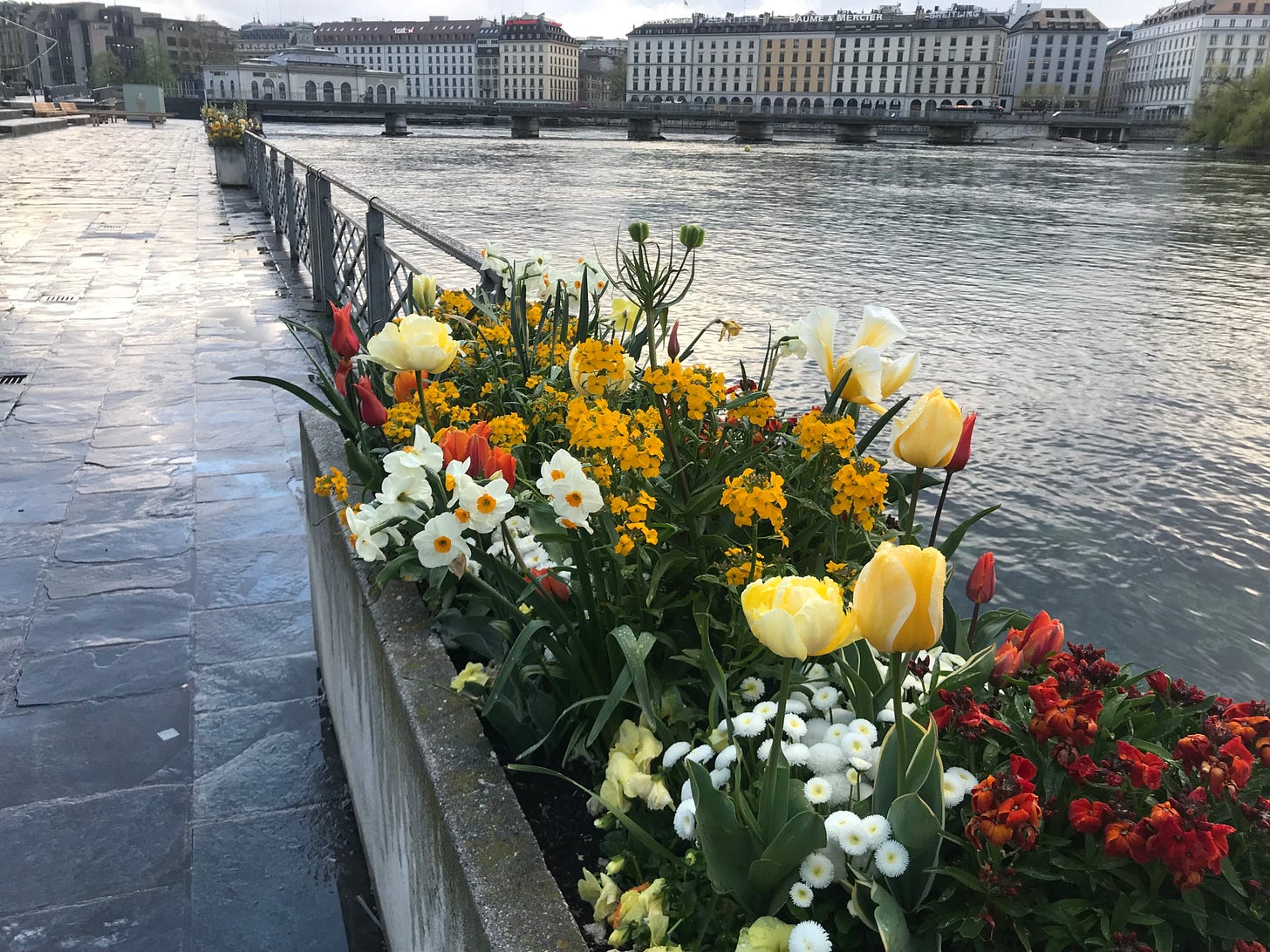 Bright flowers grow in planters alongside Lake Geneva in Geneva, Switzerland.