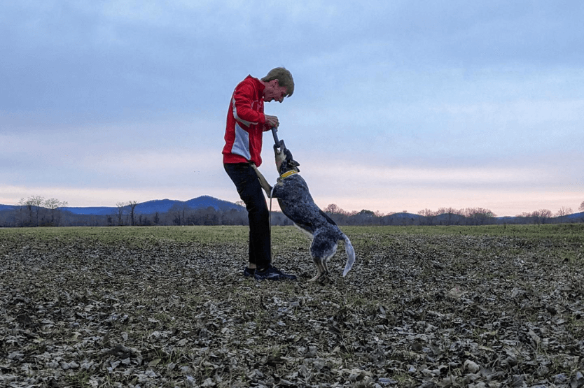 A boy in a red sweatshirt and a blue heeler play tug with a purple puller ring in front of a small mountain lake in Arkansas