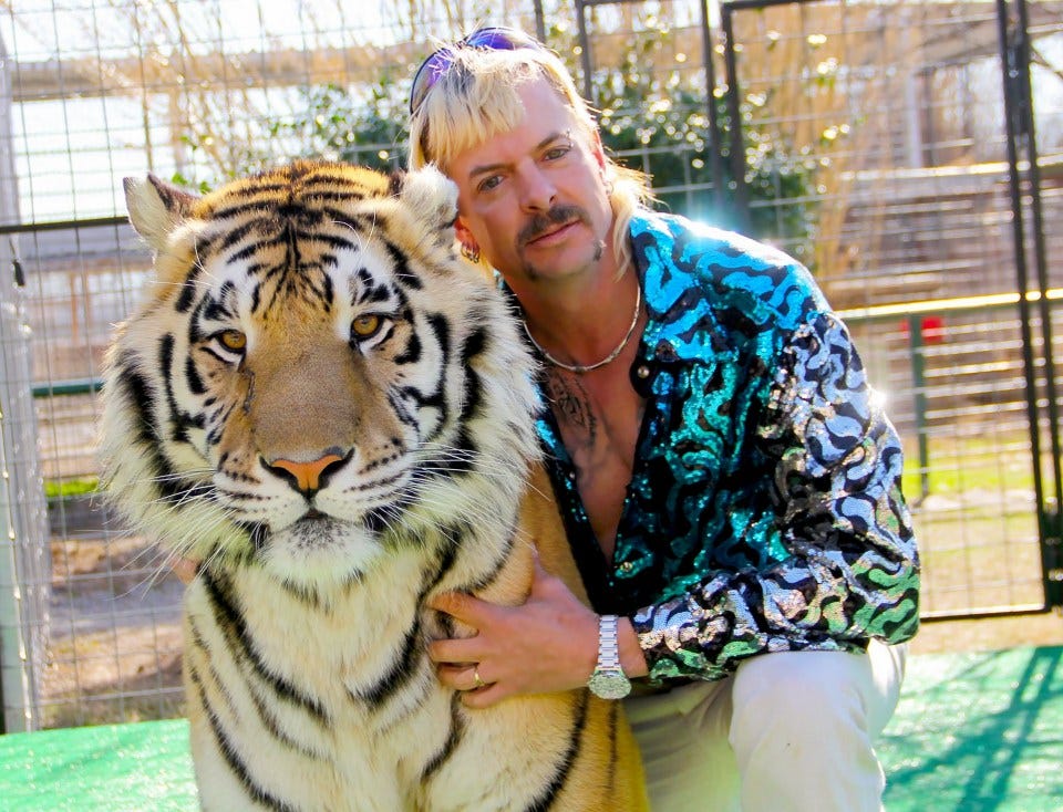 Margot Robbie could play Tiger King's Joe Exotic in TV miniseries after  Netflix doc becomes hit – The US Sun | The US Sun