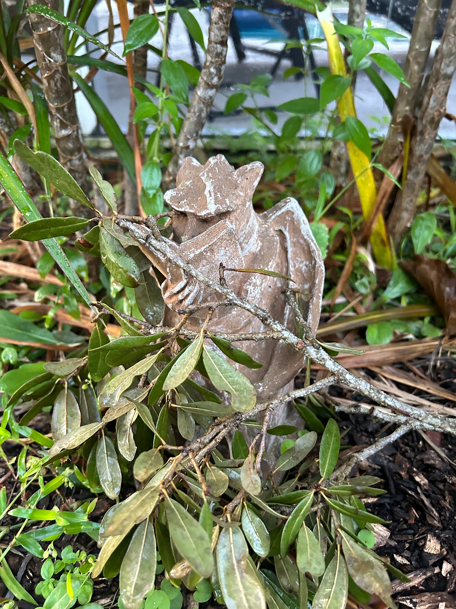 A brown stone gargoyle reading a book, surrounded by fallen twigs from an oak tree.