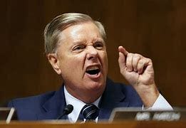 Image result for lindsey graham images