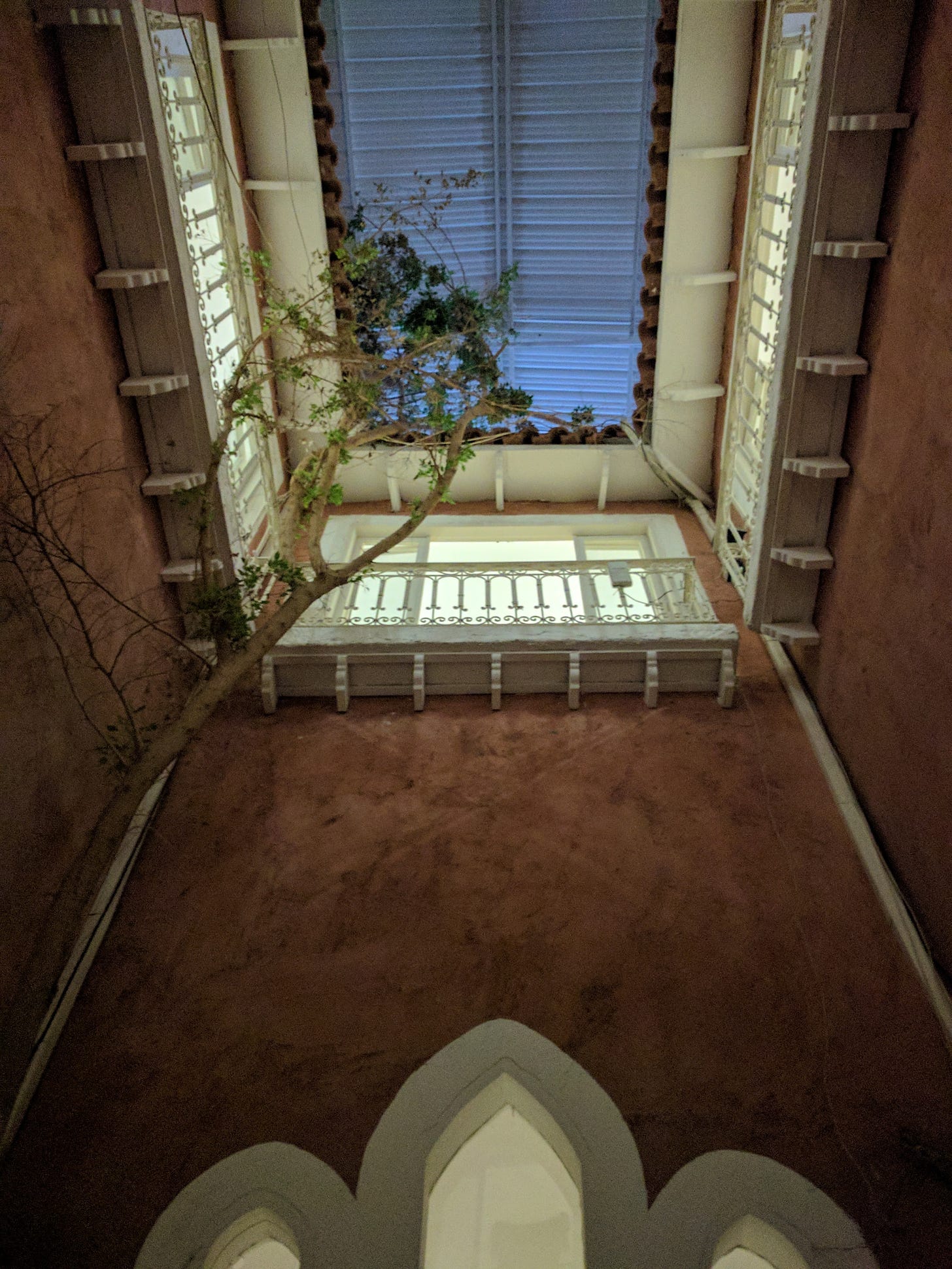 A view up through a large indoor hotel courtyard, including a tree several stories tall