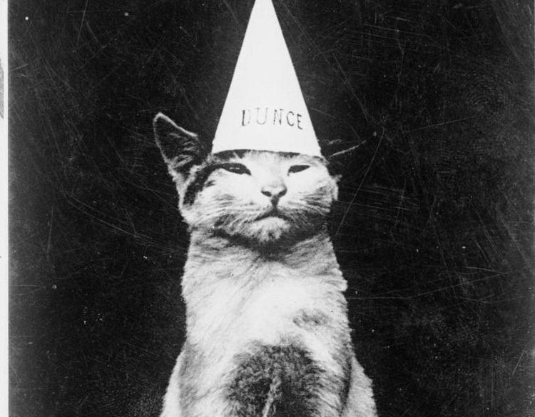 Vintage black and white photo of a light-colored shorthaired cat wearing a conical dunce cap.