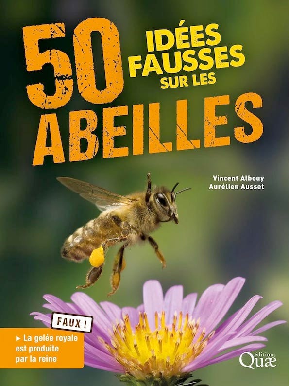 Couverture de l'ouvrage 50 idées fausses sur les abeilles