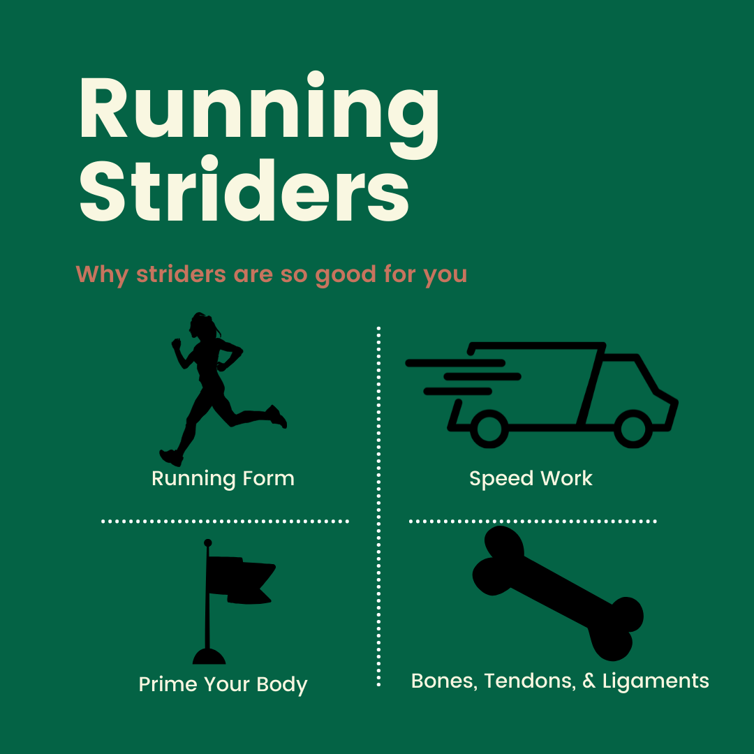 The Benefits of Adding Striders to Your Running Plan ...