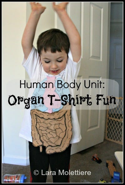 preschool human body study tshirt