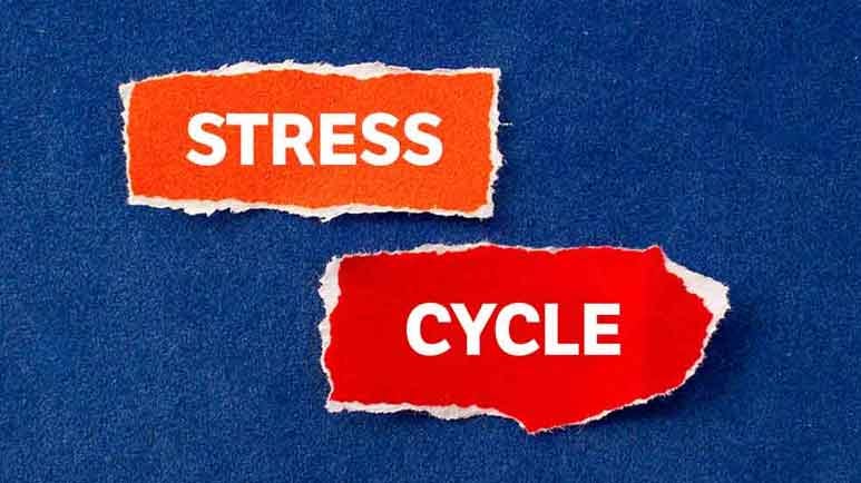 stress cycle
