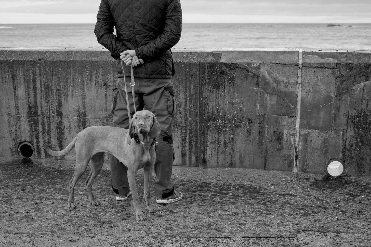 A photo from earlier in the week while looking out to sea from Eyemouth