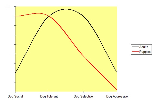 A bell curve showing dog sociability as a spectrum, courtesy of Paws Abilities