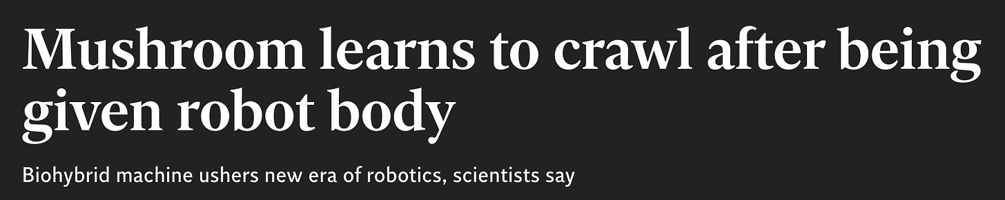 Mushroom learns to crawl after being given robot body Biohybrid machine ushers new era of robotics, scientists say