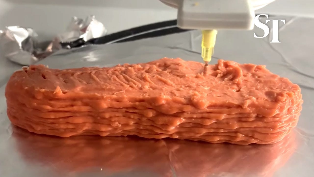 3D-printed 'salmon' from lentils - YouTube